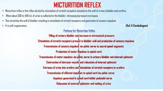 MICTURITION REFLEX
• Micturition reflex is the reflex elicited by stimulation of stretch receptors situatedon the wall of urinary bladderand urethra.
• When about 300 to 400 mL of urine is collected in the bladder, intravesical pressure increases.
• This stretches the wall of bladderresulting in stimulation of stretch receptors and generation of sensory impulses.
• It is self-regenerative. (Ref. K Sembulingam)
Pathway for Micturition Reflex
Filling of urinary bladder and increase in intravesical pressure
Stimulation of stretch receptors present in bladder wall and production of sensory impulses
Transmission of sensory impulses via pelvic nerve to sacral spinal segments
Production of motor impulses in spinal cord
Transmission of motor impulses via pelvic nerve to urinary bladder and internal sphincter
Contraction of detrusor muscle and relaxation of internal sphincter
Entrance of urine into urethra and stimulation of stretch receptors in urethra
Transmission of afferent impulses to spinal cord via pelvic nerve
Impulses generated in spinal cord inhibit pudendal nerve
Relaxation of external sphincter and voiding of urine
 