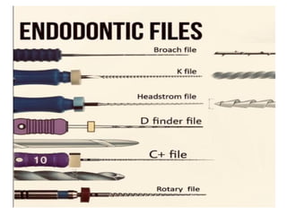 File Endo Instrument Parts of ENDODONTIC INSTRUMENTS and files | PPTX