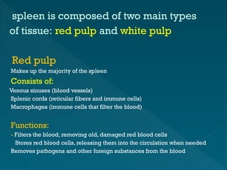Secondary Lymphoid Organs -Immunotechnology | PPTX