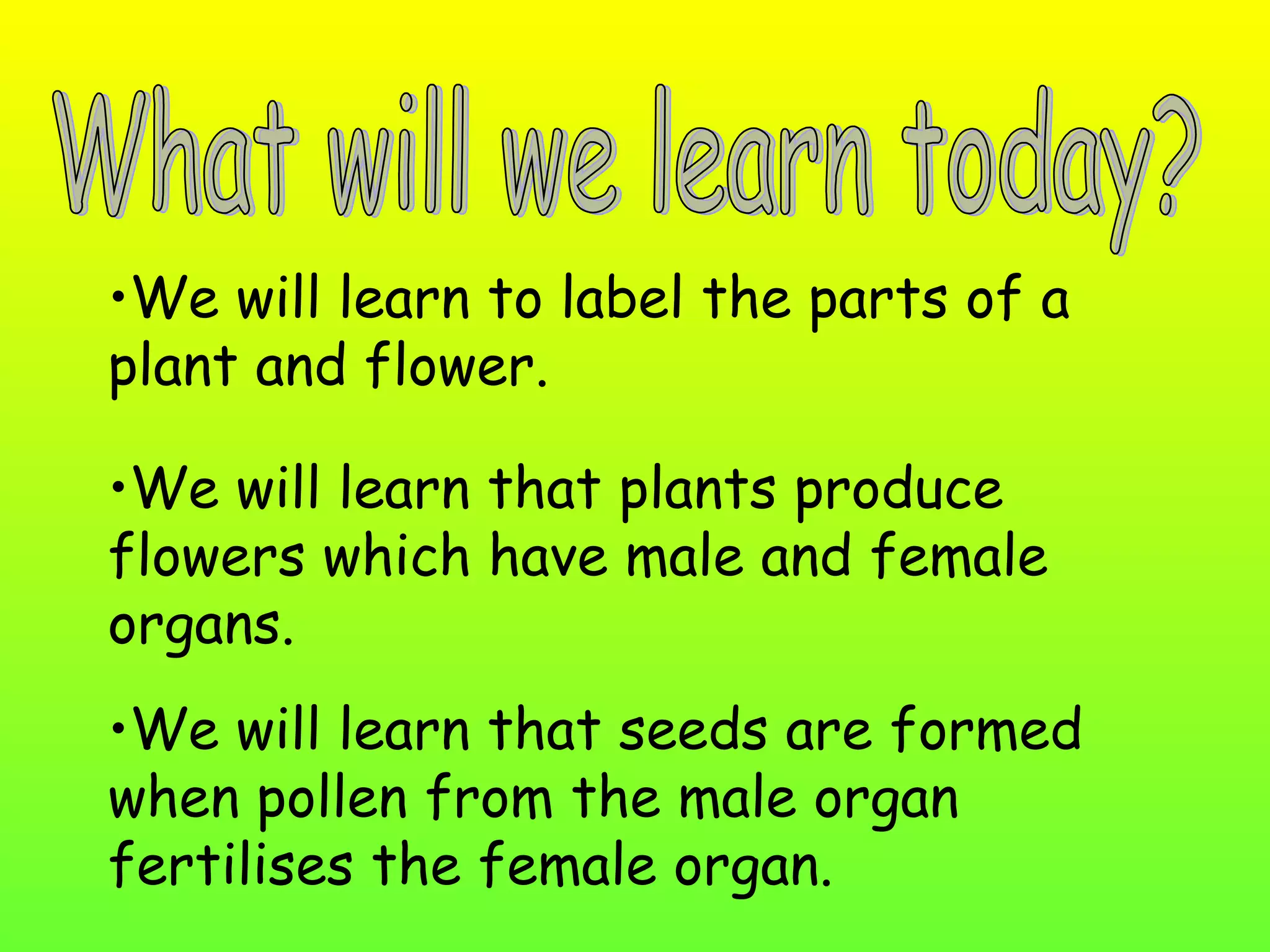 Biology ppt on parts of flower | PPT