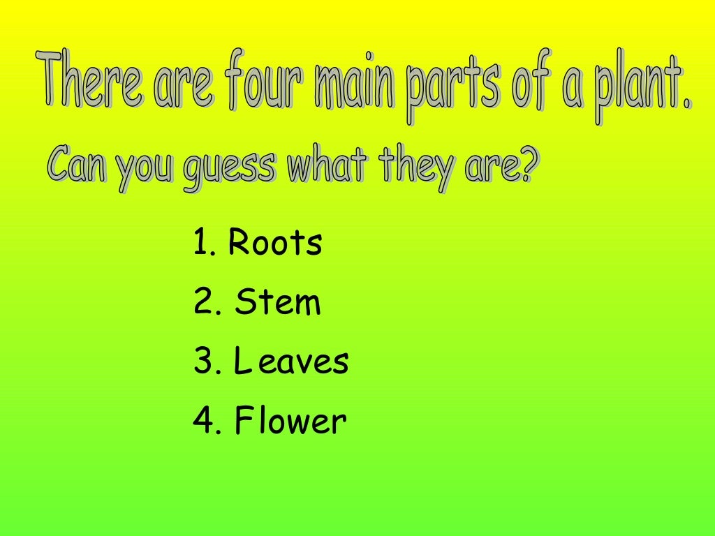 Biology ppt on parts of flower