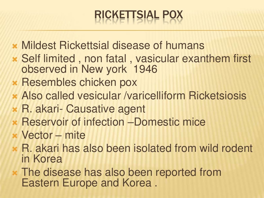 Bhuwan (rickettsial disease)