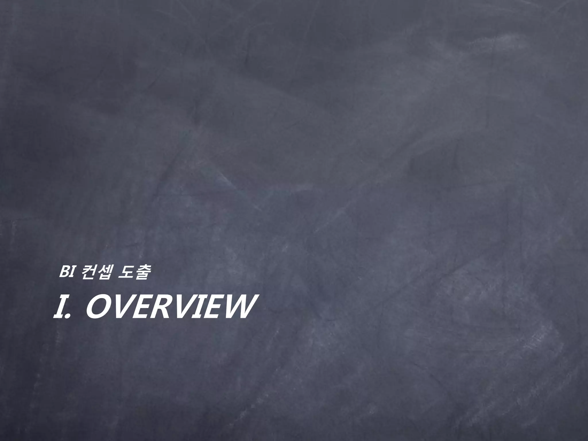 BI 컨셉 도출

I. OVERVIEW
 
