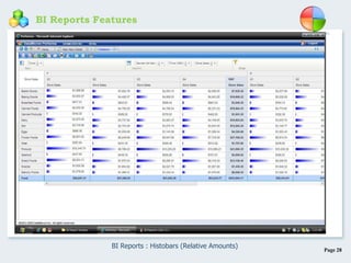 Page 28
BI Reports Features
BI Reports : Histobars (Relative Amounts)
 