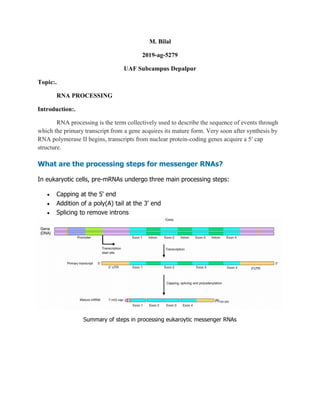 M. Bilal
2019-ag-5279
UAF Subcampus Depalpur
Topic:.
RNA PROCESSING
Introduction:.
RNA processing is the term collectively used to describe the sequence of events through
which the primary transcript from a gene acquires its mature form. Very soon after synthesis by
RNA polymerase II begins, transcripts from nuclear protein-coding genes acquire a 5′ cap
structure.
What are the processing steps for messenger RNAs?
In eukaryotic cells, pre-mRNAs undergo three main processing steps:
 Capping at the 5' end
 Addition of a poly(A) tail at the 3' end
 Splicing to remove introns
Summary of steps in processing eukaroytic messenger RNAs
 