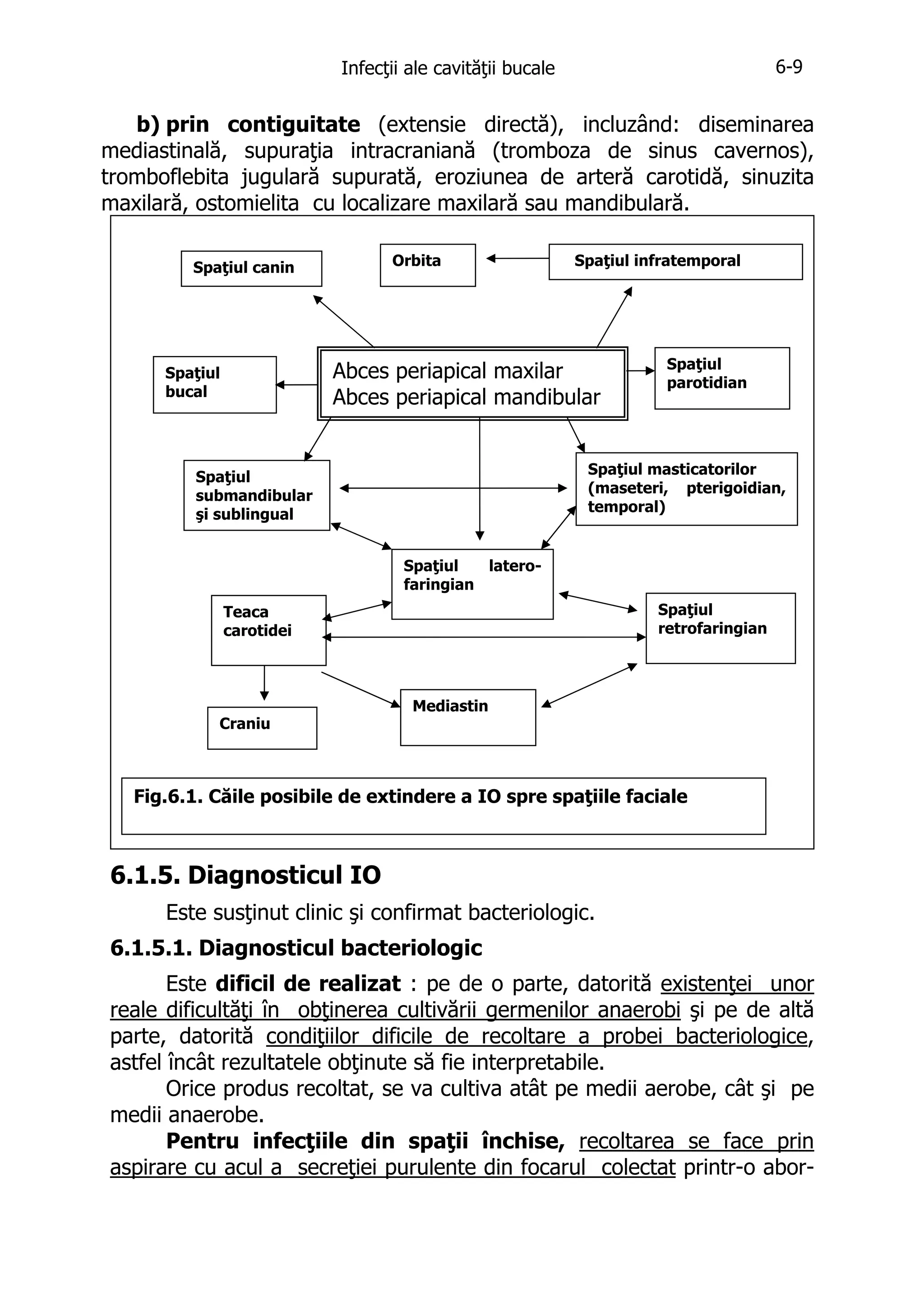 6-9

Infecţii ale cavităţii bucale

b) prin contiguitate (extensie directă), incluzând: diseminarea
mediastinală, supuraţia intracraniană (tromboza de sinus cavernos),
tromboflebita jugulară supurată, eroziunea de arteră carotidă, sinuzita
maxilară, ostomielita cu localizare maxilară sau mandibulară.
Orbita

Spaţiul canin

Spaţiul infratemporal

Abces periapical maxilar
Abces periapical mandibular

Spaţiul
bucal

Spaţiul
parotidian

Spaţiul masticatorilor
(maseteri, pterigoidian,
temporal)

Spaţiul
submandibular
şi sublingual
Spaţiul
laterofaringian

Spaţiul
retrofaringian

Teaca
carotidei

Craniu

Mediastin

Fig.6.1. Căile posibile de extindere a IO spre spaţiile faciale

6.1.5. Diagnosticul IO
Este susţinut clinic şi confirmat bacteriologic.
6.1.5.1. Diagnosticul bacteriologic
Este dificil de realizat : pe de o parte, datorită existenţei unor
reale dificultăţi în obţinerea cultivării germenilor anaerobi şi pe de altă
parte, datorită condiţiilor dificile de recoltare a probei bacteriologice,
astfel încât rezultatele obţinute să fie interpretabile.
Orice produs recoltat, se va cultiva atât pe medii aerobe, cât şi pe
medii anaerobe.
Pentru infecţiile din spaţii închise, recoltarea se face prin
aspirare cu acul a secreţiei purulente din focarul colectat printr-o abor-

 