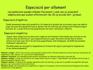 Especiació per aïllament
Les poblacions queden aïllades físicament i cada una va acumulant
adaptacions que acaben diferenciant-les. És un procés lent i gradual.
També anomenada especiació geogràfica, és l’especiació gradual que es produeix quan una espècie
ocupa una gran àrea geogràfica que no permet que els individus que estiguin molt allunyats puguin
encreuar-se, a causa de barreres geogràfiques com mars, muntanyes o deserts.
Especiació al·lopàtrica
Especiació simpàtrica
Aquest tipus d’especiació es dona entre espècies estretament relacionades que conviuen en una
mateixa àrea de distribució i que s’especialitzen en ocupar diferents nínxols dins el mateix
entorn en el què viuen. No hi ha barreres geogràfiques, sinó biològiques, els MAR (mecanismes
d’aïllament reproductiu).
Els MAR poden ser prezigòtics (impedeixen la formació del zigot) o postzigòtics (impedeixen
el seu desenvolupament)
Aïllament ecològic: dintre d’una mateixa zona geogràfica poden existir diferents hàbitats caracteritzats per diferències de
temperatura, llum, humitat, etc. que dificultin l’aparellament
Aïllament estacional: els organismes poden madurar sexualment en diferents estacions o hores del dia.
Aïllament etològic: es basa en diferències de comportament durant el seguici i l’aparellament com senyals d’atracció que si
fallen provoquen la fugida o l’atac.
Aïllament mecànic: la còpula és de vegades impossible entre els individus, ja sigui per la grandària incompatible dels seus
genitals, o per variacions en l’estructura floral.
Aïllament sexual: són mecanismes que impedeixen la còpula o la fecundació com les diferències morfològiques dels òrgans
reproductors o dels gàmetes.
 