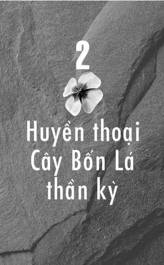 2
Huyïì n thoaå i
Cêy Böë n Laá
  thêì n kyâ
 