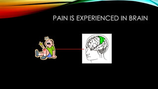 PAIN IS EXPERIENCED IN BRAIN
 