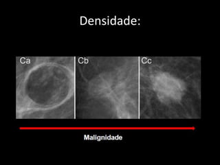 Densidade:
 