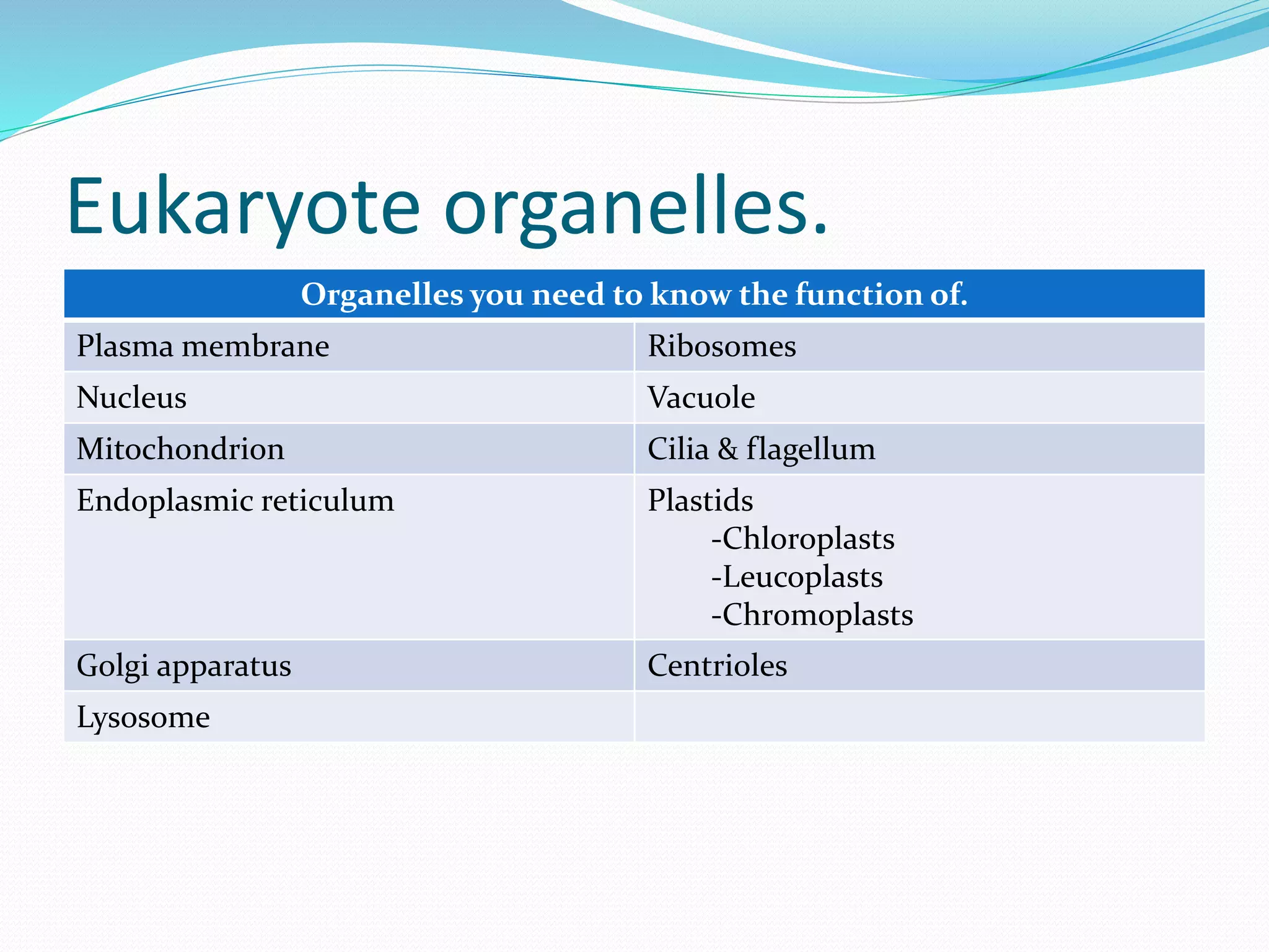Eukaryote organelles.
Organelles you need to know the function of.
Plasma membrane Ribosomes
Nucleus Vacuole
Mitochondrion Cilia & flagellum
Endoplasmic reticulum Plastids
-Chloroplasts
-Leucoplasts
-Chromoplasts
Golgi apparatus Centrioles
Lysosome
 