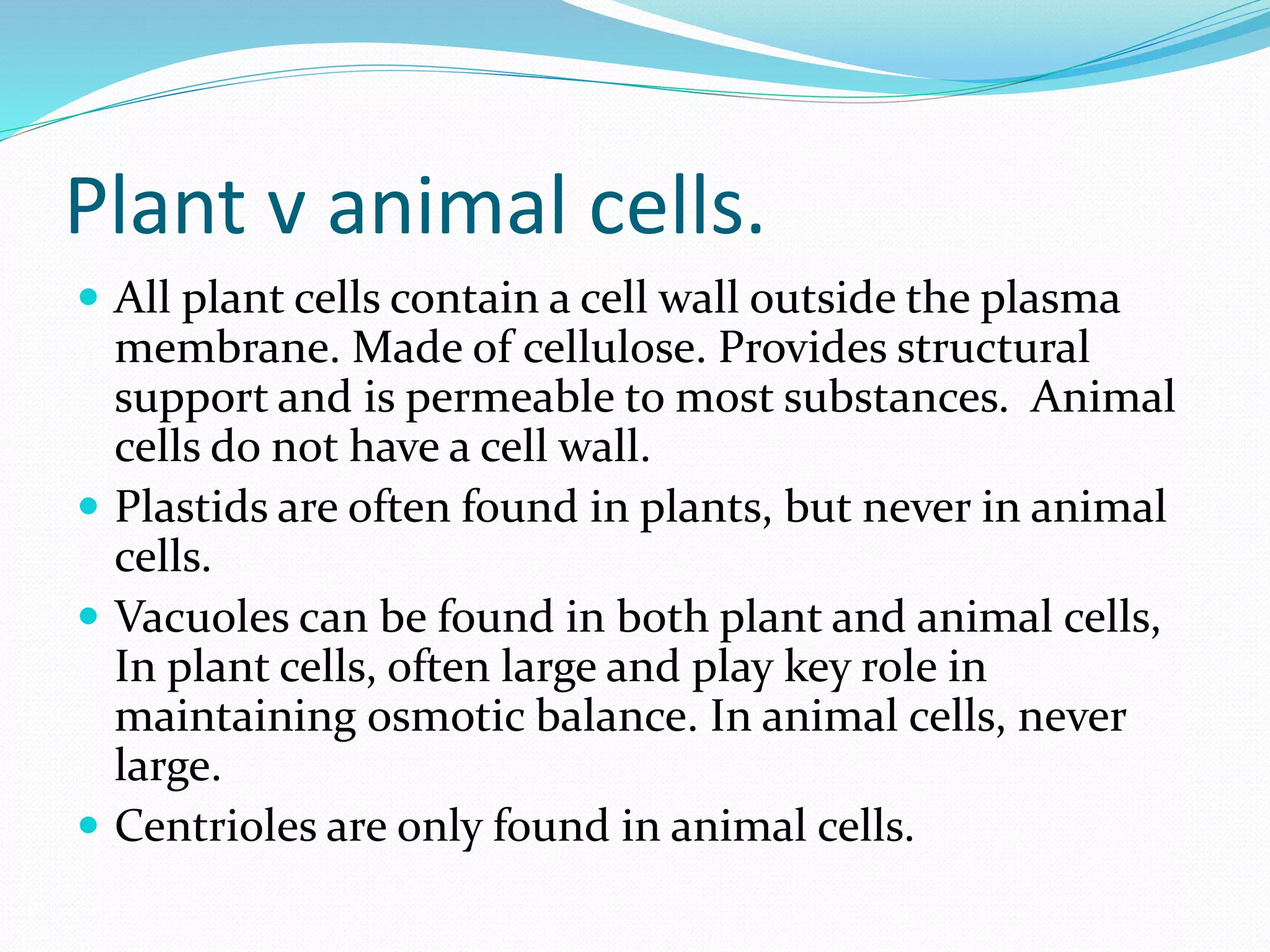 Plant v animal cells.
 All plant cells contain a cell wall outside the plasma
membrane. Made of cellulose. Provides structural
support and is permeable to most substances. Animal
cells do not have a cell wall.
 Plastids are often found in plants, but never in animal
cells.
 Vacuoles can be found in both plant and animal cells,
In plant cells, often large and play key role in
maintaining osmotic balance. In animal cells, never
large.
 Centrioles are only found in animal cells.
 