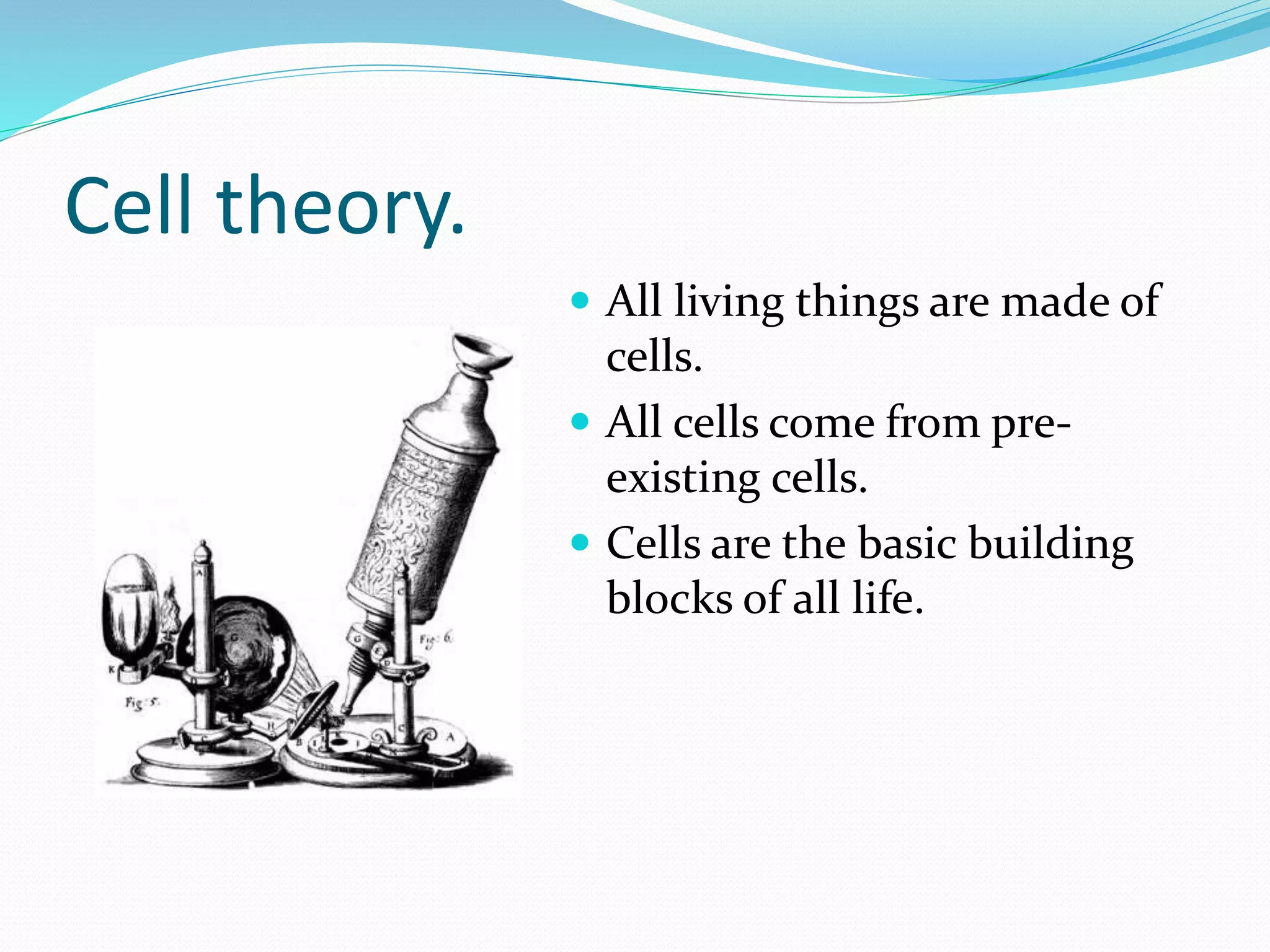 Cell theory.
 All living things are made of
cells.
 All cells come from pre-
existing cells.
 Cells are the basic building
blocks of all life.
 