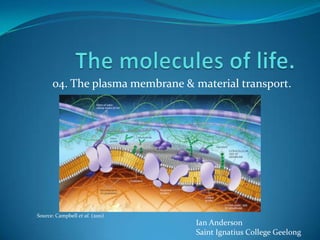 04. The plasma membrane & material transport.




Source: Campbell et al. (2011)
                                 Ian Anderson
                                 Saint Ignatius College Geelong
 