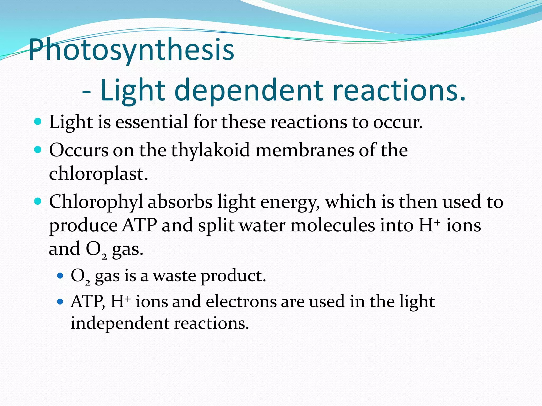 Photosynthesis
- Light dependent reactions.
 Light is essential for these reactions to occur.
 Occurs on the thylakoid membranes of the
chloroplast.
 Chlorophyl absorbs light energy, which is then used to
produce ATP and split water molecules into H+ ions
and O2 gas.
 O2 gas is a waste product.
 ATP, H+ ions and electrons are used in the light
independent reactions.
 