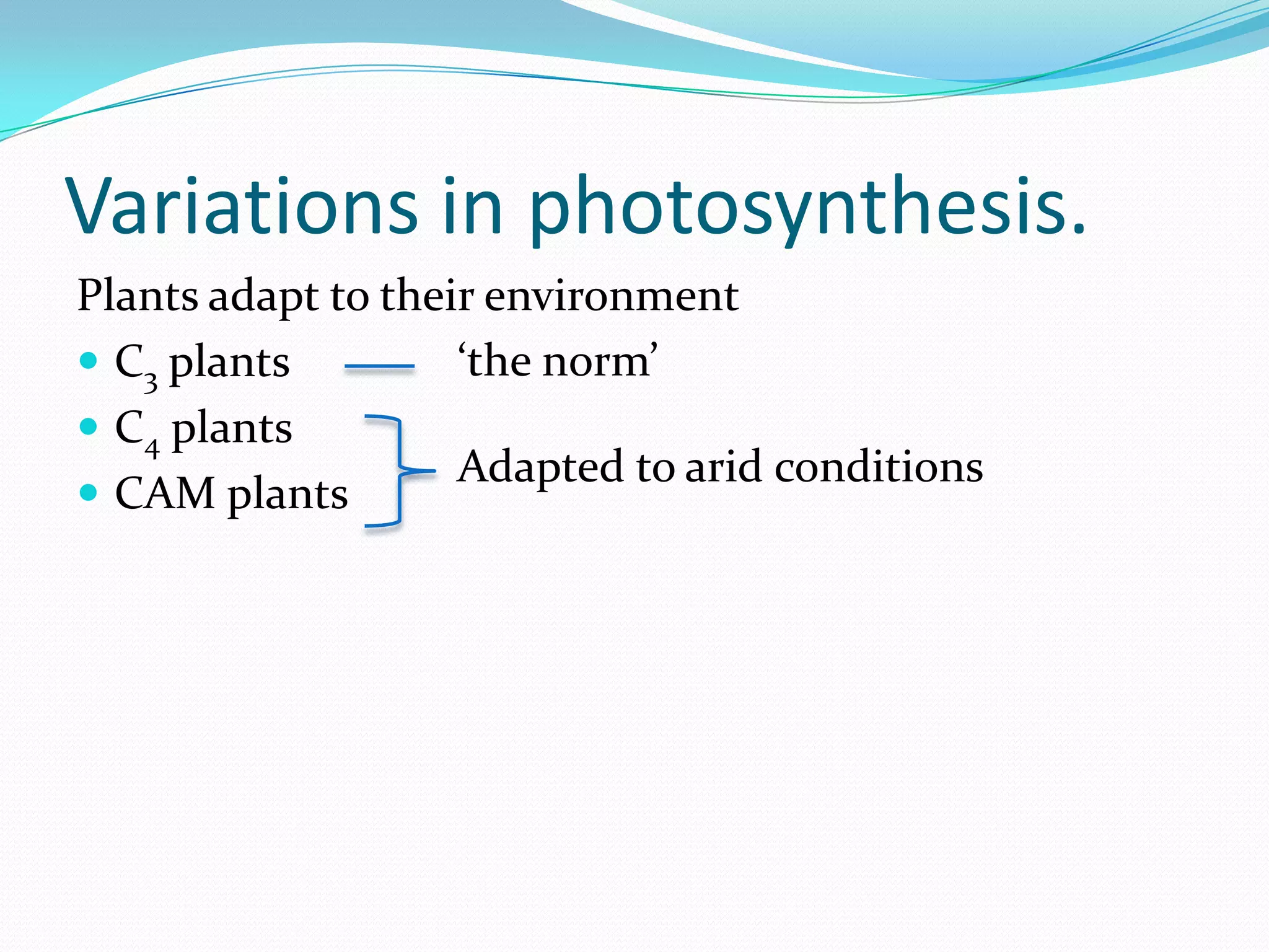 Variations in photosynthesis.
Plants adapt to their environment
 C3 plants
 C4 plants
 CAM plants
‘the norm’
Adapted to arid conditions
 
