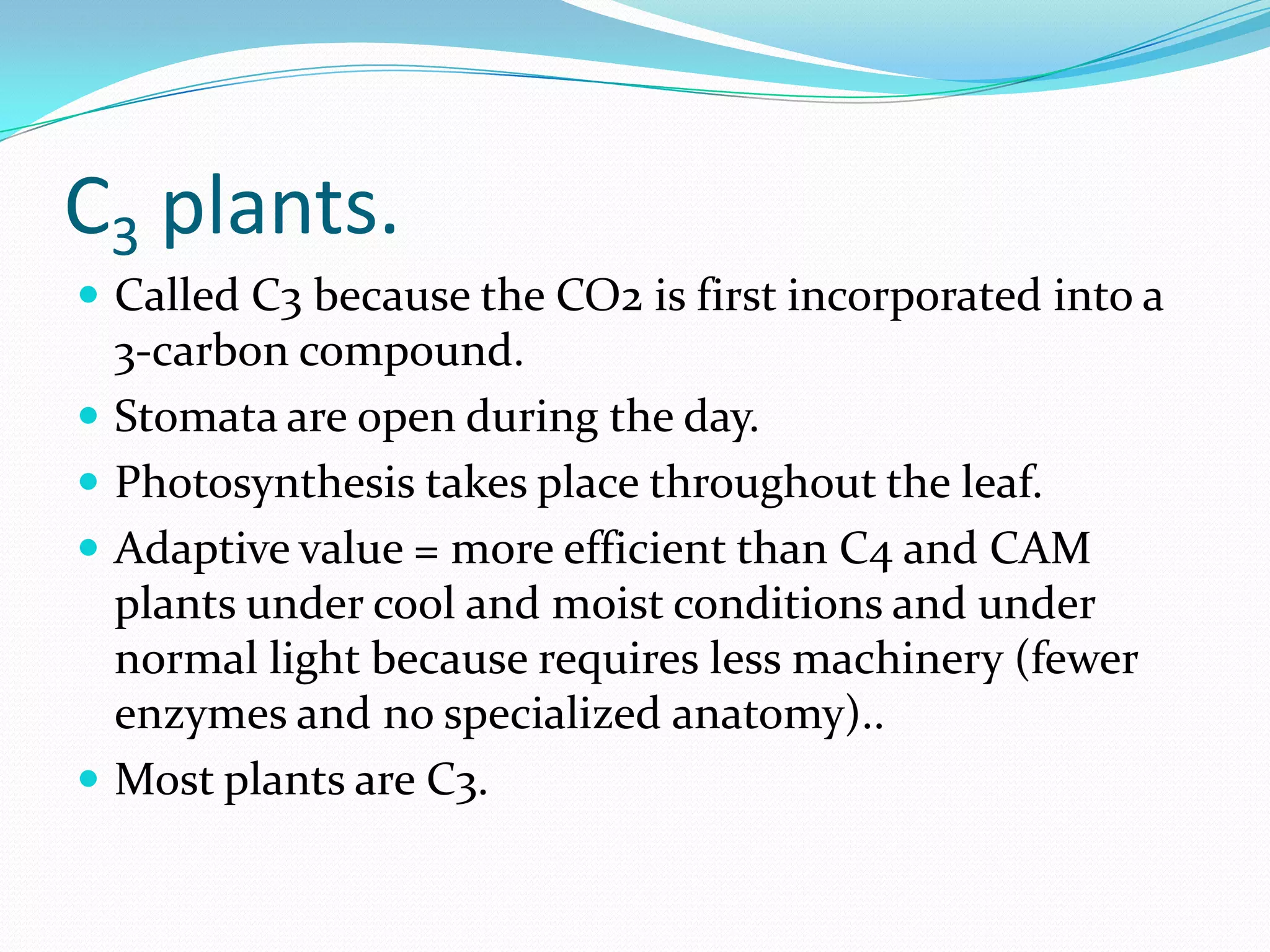 C3 plants.
 Called C3 because the CO2 is first incorporated into a
3-carbon compound.
 Stomata are open during the day.
 Photosynthesis takes place throughout the leaf.
 Adaptive value = more efficient than C4 and CAM
plants under cool and moist conditions and under
normal light because requires less machinery (fewer
enzymes and no specialized anatomy)..
 Most plants are C3.
 