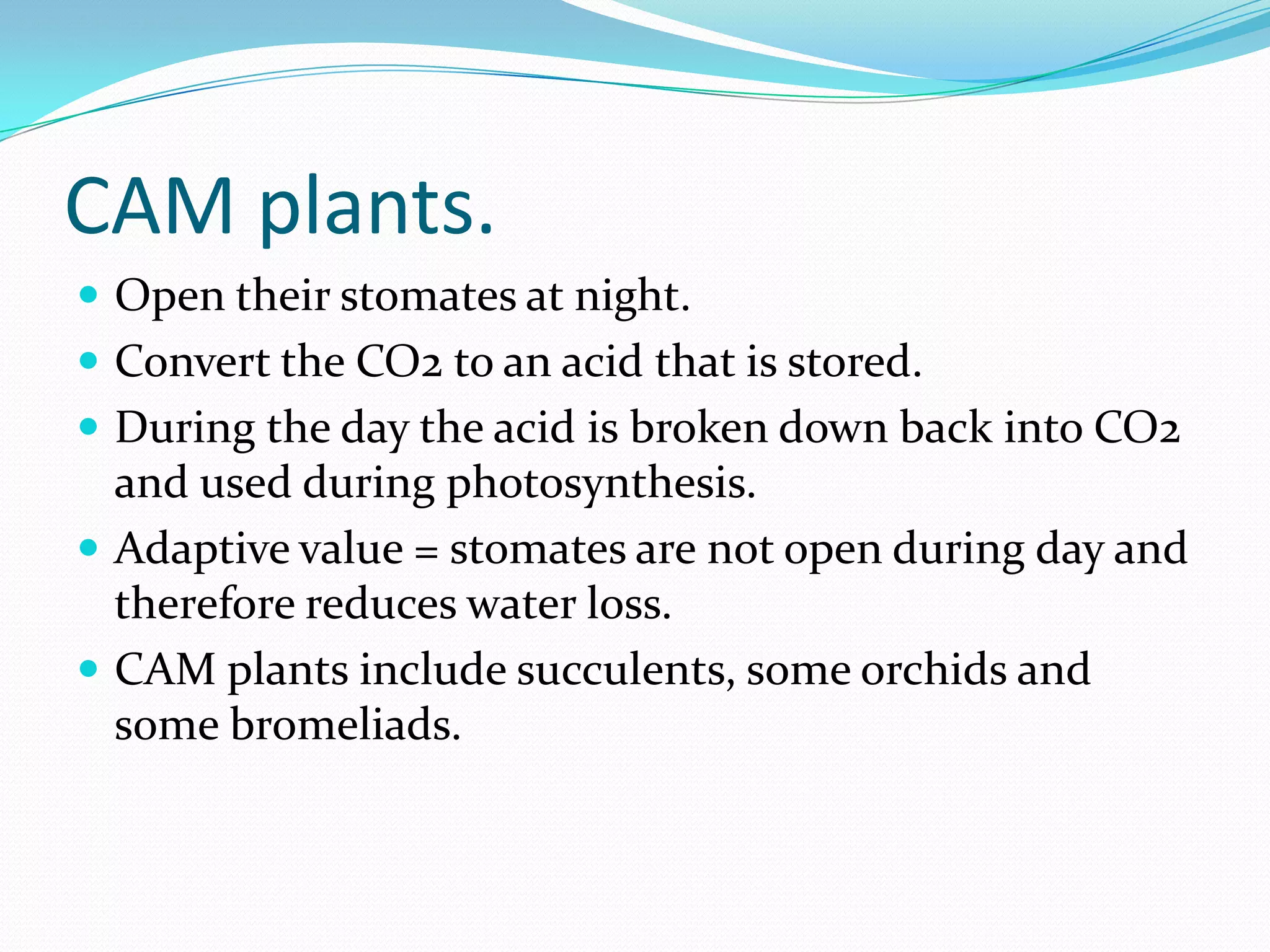 CAM plants.
 Open their stomates at night.
 Convert the CO2 to an acid that is stored.
 During the day the acid is broken down back into CO2
and used during photosynthesis.
 Adaptive value = stomates are not open during day and
therefore reduces water loss.
 CAM plants include succulents, some orchids and
some bromeliads.
 