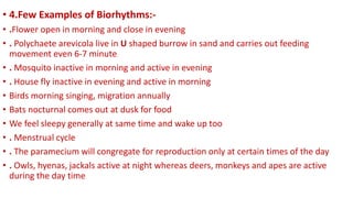 bi0logical rhythms.pptx
