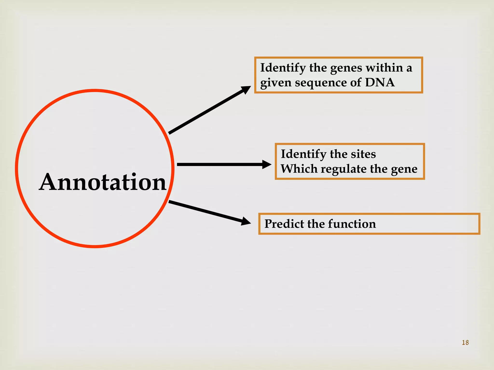 18
Annotation
Identify the genes within a
given sequence of DNA
Identify the sites
Which regulate the gene
Predict the function
 