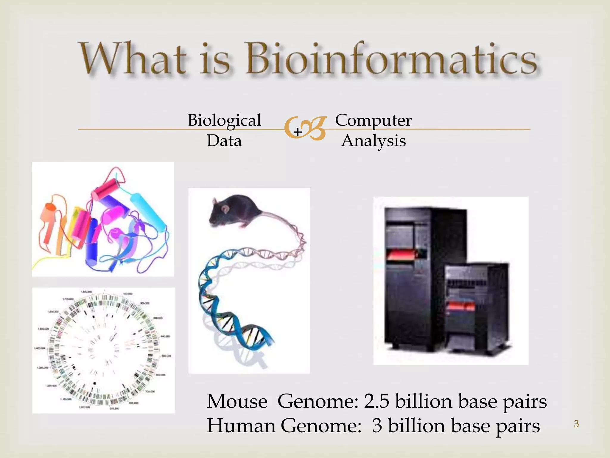 Biological
Data
Computer
Analysis+
Mouse Genome: 2.5 billion base pairs
Human Genome: 3 billion base pairs 3
 