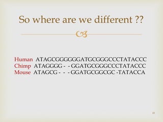 
So where are we different ??
22
Human ATAGCGGGGGGATGCGGGCCCTATACCC
Chimp ATAGGGG - - GGATGCGGGCCCTATACCC
Mouse ATAGCG - - - GGATGCGGCGC -TATACCA
 