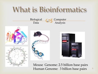 Biological
Data
Computer
Analysis+
Mouse Genome: 2.5 billion base pairs
Human Genome: 3 billion base pairs 3
 
