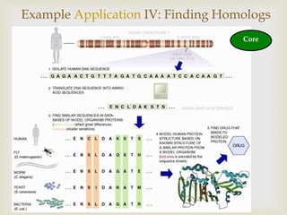 
Example Application IV: Finding Homologs
Core
 