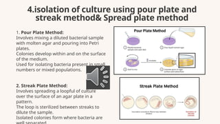 Loopful microbiology culturing techniques in real lab | PPTX