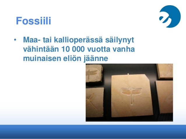 seksitreffit