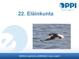 22. Eläinkunta
 