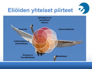 Symbioosi 1 Luku 2 PDF symbioosi-1-luku-2-pdf