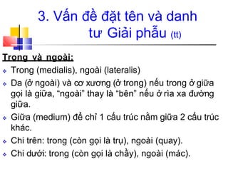 3. Vấn đề đặt tên và danh
tư Giải phẫu (tt)
Trong và ngoài:
❖ Trong (medialis), ngoài (lateralis)
❖ Da (ở ngoài) và cơ xương (ở trong) nếu trong ở giữa
gọi là giữa, “ngoài” thay là “bên” nếu ở rìa xa đường
giữa.
❖ Giữa (medium) để chỉ 1 cấu trúc nằm giữa 2 cấu trúc
khác.
❖ Chi trên: trong (còn gọi là trụ), ngoài (quay).
❖ Chi dưới: trong (còn gọi là chầy), ngoài (mác).
 
