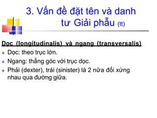 3. Vấn đề đặt tên và danh
tư Giải phẫu (tt)
Dọc (longitudinalis) và ngang (transversalis)
❖ Dọc: theo trục lớn.
❖ Ngang: thẳng góc với trục dọc.
❖ Phải (dexter), trái (sinister) là 2 nữa đối xứng
nhau qua đường giữa.
 
