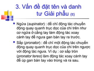 3. Vấn đề đặt tên và danh
tư Giải phẫu (tt)
■ Ngửa (supinator) : để chỉ động tác chuyển
động quay quanh trục dọc của chi trên như
cơ ngửa ở cẳng tay làm động tác xoay
cánh tay để ngưa gan bàn tay ra trước.
Sấp (pronator) : để chỉ một động tác chuyển
động quay quanh trục dọc của chi trên ngược
với động tác ngưa. Ví dụ : cơ sấp tròn
(pronator teres) làm động tác xoay cánh tay
để úp gan bàn tay vào trong và ra sau.
■
 