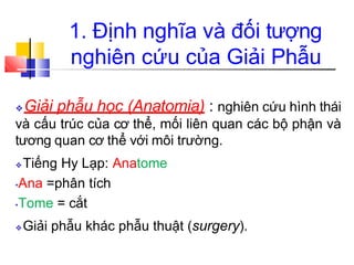 1. Định nghĩa và đối tượng
nghiên cứu của Giải Phẫu
❖Giải phẫu học (Anatomia) : nghiên cứu hình thái
và cấu trúc của cơ thể, mối liên quan các bộ phận và
tương quan cơ thể với môi trường.
❖Tiếng Hy Lạp: Anatome
•Ana =phân tích
•Tome = cắt
❖Giải phẫu khác phẫu thuật (surgery).
 