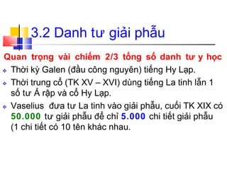3.2 Danh tư giải phẫu
Quan trọng vài chiếm 2/3 tổng số danh tư y học
❖ Thời kỳ Galen (đầu công nguyên) tiếng Hy Lạp.
❖ Thời trung cổ (TK XV – XVI) dùng tiếng La tinh lẫn 1
số tư Ả rập và cổ Hy Lạp.
❖ Vaselius đưa tư La tinh vào giải phẫu, cuối TK XIX có
50.000 tư giải phẫu để chỉ 5.000 chi tiết giải phẫu
(1 chi tiết có 10 tên khác nhau.
 