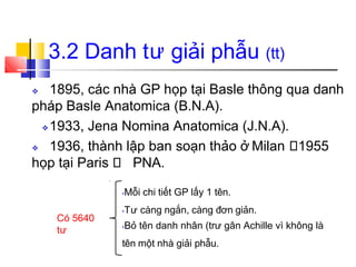 ❖ 1895, các nhà GP họp tại Basle thông qua danh
pháp Basle Anatomica (B.N.A).
❖1933, Jena Nomina Anatomica (J.N.A).
❖ 1936, thành lập ban soạn thảo ở Milan 1955
họp tại Paris PNA.
Có 5640
tư
•Mỗi chi tiết GP lấy 1 tên.
•Tư càng ngắn, càng đơn giản.
•Bỏ tên danh nhân (trư gân Achille vì không là
tên một nhà giải phẫu.
3.2 Danh tư giải phẫu (tt)
 