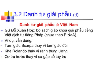 3.2 Danh tư giải phẫu (tt)
Danh tư giải phẫu ở Việt Nam
❖ GS Đỗ Xuân Hợp: bộ sách giáo khoa giải phẫu tiếng
Việt dịch tư tiếng Pháp (chưa theo P.N>A).
❖ Ví dụ, vẫn dùng:
• Tam giác Scarpa thay vì tam giác đùi.
Khe Rolando thay vì rãnh trung ương.
Cơ trụ trước thay vì cơ gấp cổ tay trụ
•
•
 