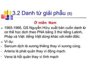 3.2 Danh từ giải phẫu (tt)
Ở miền Nam
❖ 1965-1966, GS Nguyễn Hữu xuất bản cuốn danh từ
cơ thể học dịch theo PNA bằng 3 thứ tiếng Latinh,
Pháp và Việt: tiếng Việt dùng khác với miền Bắc.
❖ Ví dụ:
• Sarcum dịch là xương thiêng thay vì xương cùng.
Arteria là phát quản thay vì động mạch.
Vena là hồi quản thay vì tĩnh mạch
•
•
 