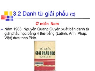3.2 Danh từ giải phẫu (tt)
Ở miền Nam
❖ Năm 1983, Nguyễn Quang Quyền xuất bản danh từ
giải phẫu học bằng 4 thứ tiếng (Latinh, Anh, Pháp,
Việt) dựa theo PNA.
 