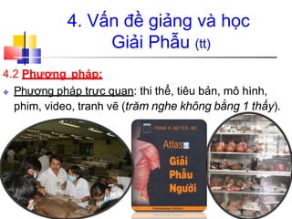 4.2 Phương pháp:
❖ Phương pháp trực quan: thi thể, tiêu bản, mô hình,
phim, video, tranh vẽ (trăm nghe không bằng 1 thấy).
4. Vấn đề giảng và học
Giải Phẫu (tt)
 