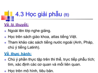 Về lý thuyết:
❖ Ngoài lên lớp nghe giảng.
❖ Học trên sách giáo khoa, atlas tiếng Việt.
❖ Tham khảo các sách tiếng nước ngoài (Anh, Pháp,
chú ý tiếng Latinh).
Về thực hành:
❖ Chú ý phần thực tập trên thi thể, trực tiếp phẫu tích;
tìm, xác định các cơ quan và mối liên quan.
❖ Học trên mô hình, tiêu bản.
4.3 Học giải phẫu (tt)
 