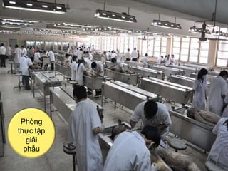 Phòng
thực tập
giải
phẫu
 