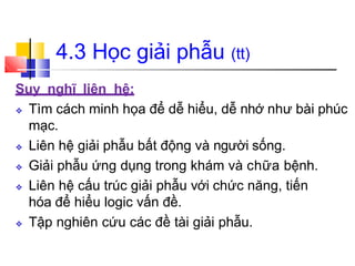 4.3 Học giải phẫu (tt)
Suy nghĩ liên hệ:
❖ Tìm cách minh họa để dễ hiểu, dễ nhớ như bài phúc
mạc.
❖ Liên hệ giải phẫu bất động và người sống.
❖ Giải phẫu ứng dụng trong khám và chữa bệnh.
❖ Liên hệ cấu trúc giải phẫu với chức năng, tiến
hóa để hiểu logic vấn đề.
❖ Tập nghiên cứu các đề tài giải phẫu.
 