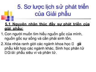 5. Sơ lược lịch sử phát triển
của Giải phẫu
5.1 Nguyên nhân thúc đẩy sự phát triển của
giải phẫu:
1.Con người muốn tìm hiểu nguồn gốc của mình,
nguồn gốc sự sống và cần phải sinh tồn.
2.Xóa nhòa ranh giới các ngành khoa học giải
phẫu kết hợp các ngành khác. Sinh học phân tử
Giải phẫu siêu vi và phân tử.
 