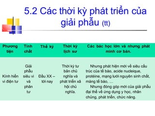 Phương
tiện
Tính
chất
Thế kỷ Thời kỳ
lịch sư
Các bác học lớn và nhưng phát
minh cơ bản.
Giải Thời kỳ tư Nhưng phát hiện mới về siêu cấu
phẫu bản chủ trúc của tế bào, acide nucleique,
Kính hiển siêu vi Đầu XX – nghĩa và protéine, mạng lưới nguyên sinh chất,
vi điện tư và tới nay phát triển xã màng tế bào, …
phân hội chủ Nhưng đóng góp mới của giải phẫu
tư nghĩa. đại thể về ứng dụng y học, nhân
chủng, phát triển, chức năng.
5.2 Các thời kỳ phát triển của
giải phẫu (tt)
 