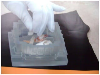 Bài giảng Đại cương -  Nhập môn giải phẫu học.pptx