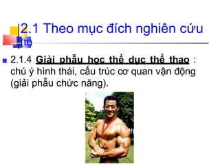 2.1 Theo mục đích nghiên cứu
(tt)
■ 2.1.4 Giải phẫu học thể dục thể thao :
chú ý hình thái, cấu trúc cơ quan vận động
(giải phẫu chức năng).
 