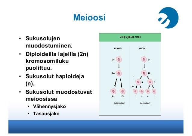Bi - Suomi24 Keskustelut